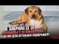 Видели моего Хасю? Забрала Бетти у бабушки. Озвучка Кузи и котят😂