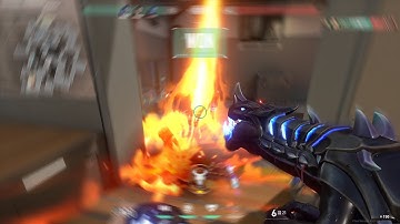 Shotgun Sage 5.0 - Return of Judge Judy