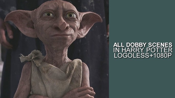 Harry Potter Wizarding World - Dobby Interactif 