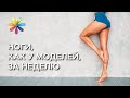 Ноги, как у моделей, за неделю! 5 эффективных упражнений – Все буде добре