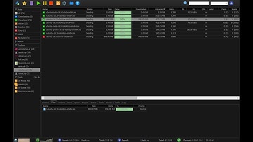 Rtorrent fix for raspberry pi/ Diet pi Torrentbox config