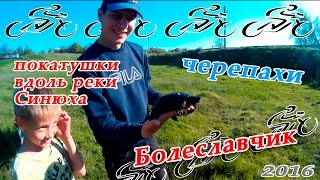 Вдоль реки Синюха, Болеславчик черепахи