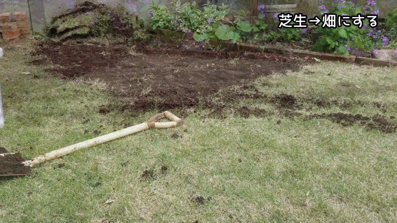 家庭菜園 初心者 庭に畑を作ります 芝生をはがして土づくり Youtube