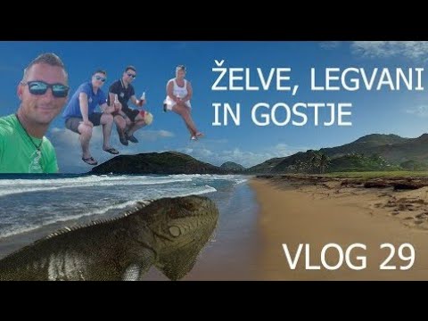 Jadranje potovanje okoli sveta -  Želve in veliki valovi #29