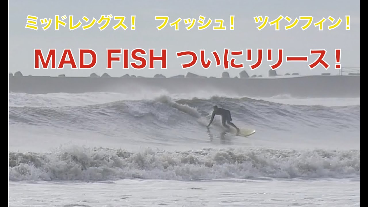 LAZY BOY SKILL MAD FISH TAPPY FIN 付き LAZY BOY SKILL MAD