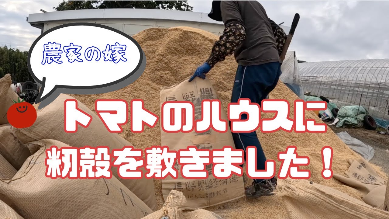 籾殻を敷きながら熱く語る編。