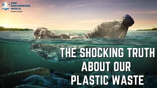 The Shocking Truth: What Really Happens to Plastic Waste