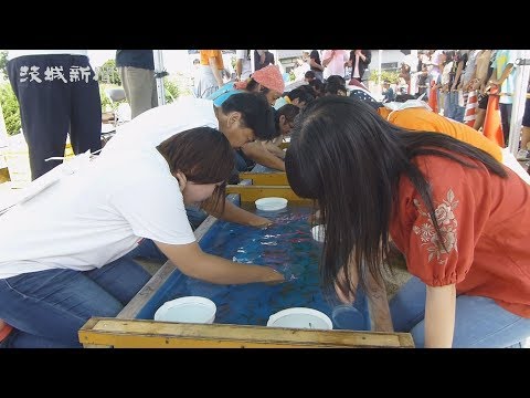 金魚すくい真剣勝負　行方で関東大会