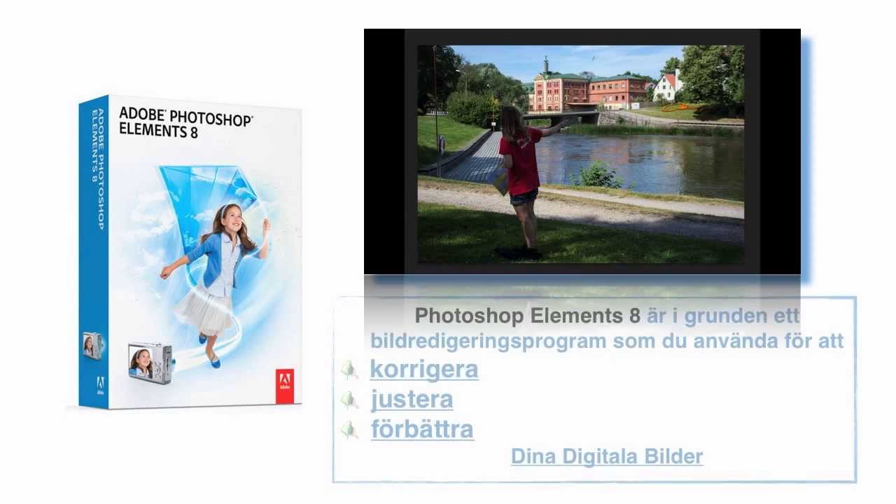Photoshop Elements 8 buy online