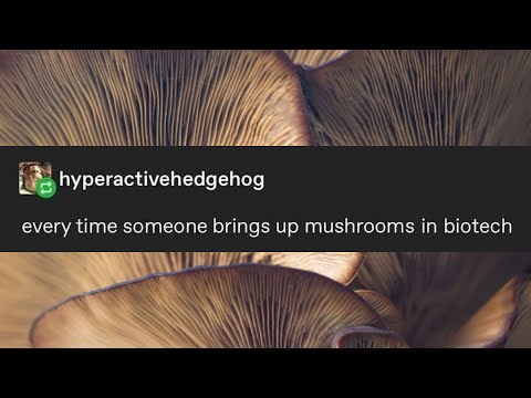 Every time someone brings up mushrooms in biotech