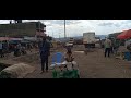 BIBLIA NURU YA DUNIA LIVE 