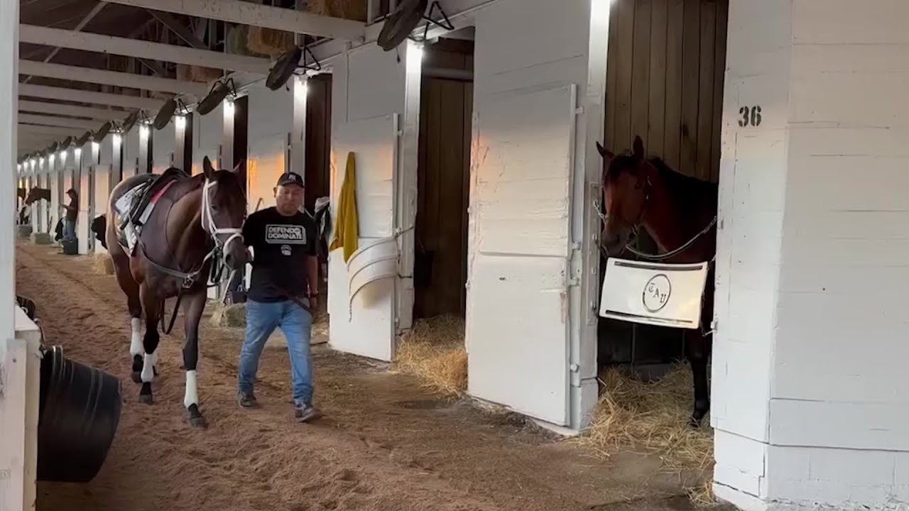Kentucky Derby 149: Kingsbarn