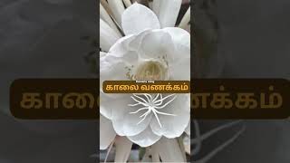 Tamil song//#whats app  stauts🌺🌺🌺🌺#//tamil song...