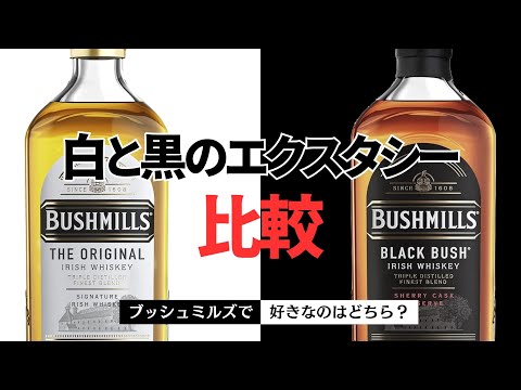 【大好きアイリッシュ】ホワイトブッシュ初飲み！ブラックブッシュと比較してみた！！