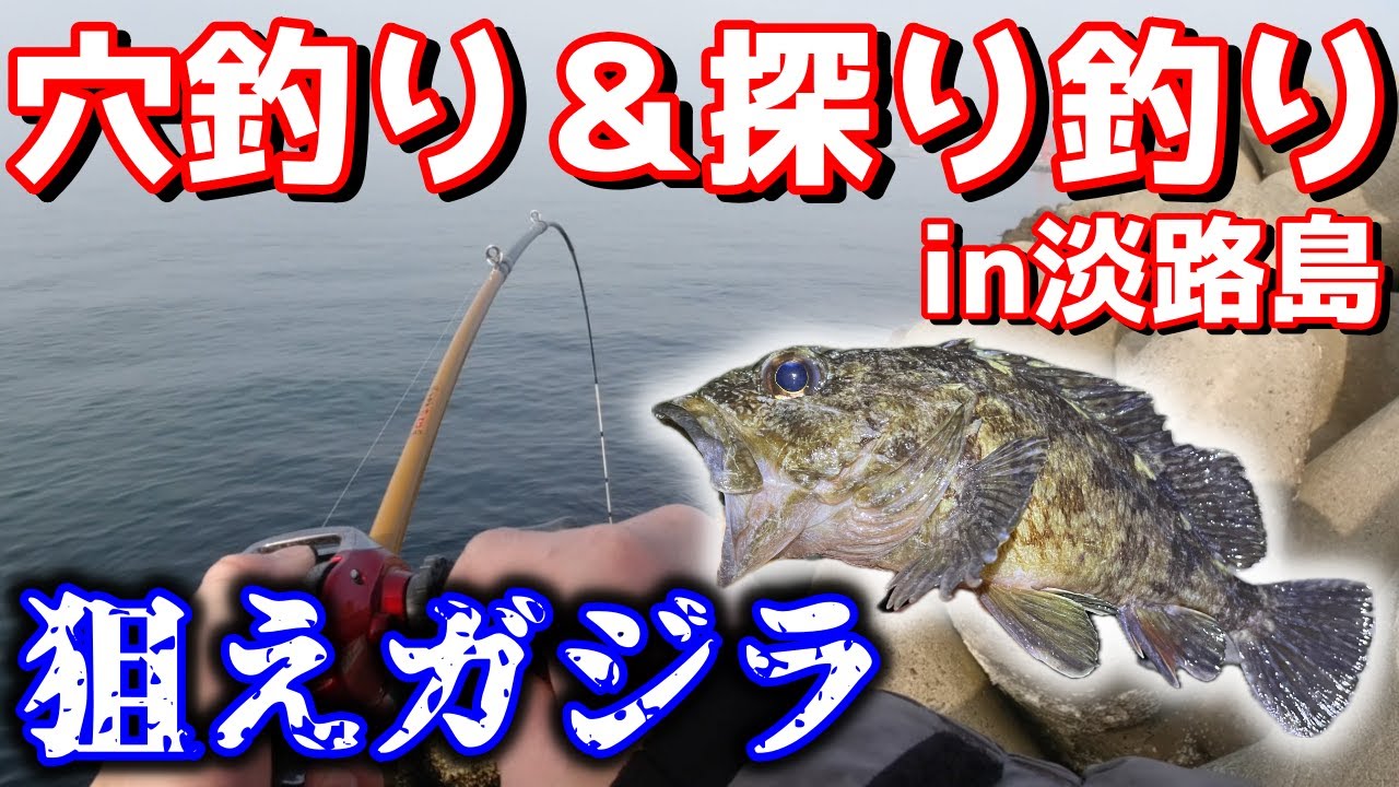 【淡路島】冬でも楽しい穴釣り＆探り釣り♪狙え尺超えデッカサゴ！