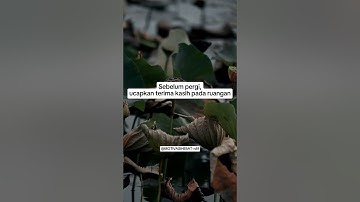 Ucapkan Terima Kasih #shorts #viral #motivation