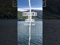 Building In Public Series Episode #0: The beginning of Sodium Learn #startup #series