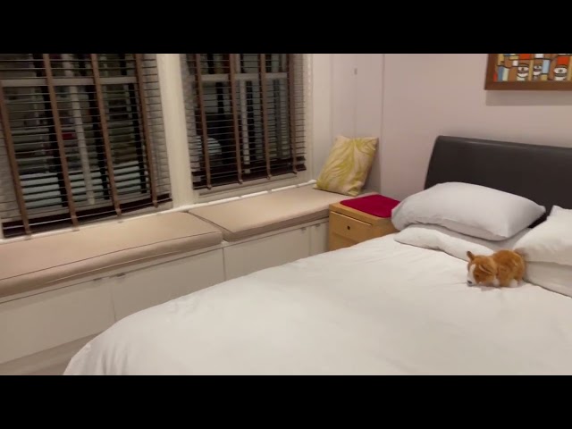 Video 1: Bedroom 