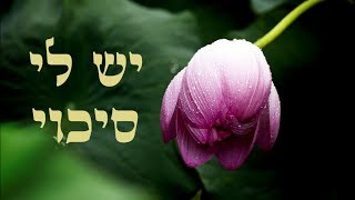 יש לי סיכוי