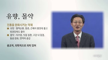 [넷향기] 20151224 김용석 교수의 "왜 황금·유향· 몰약을 주었을까?"
