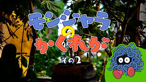 ポケモン モンジャラ