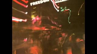 FREEDOM / Get Up and Dance オリジナル　7インチ Freedom / SWV (feat. Wu Tang Clan) / Get Up & Dance (DNA