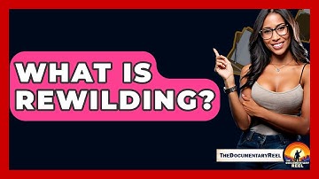 What Is Rewilding? - The Documentary Reel