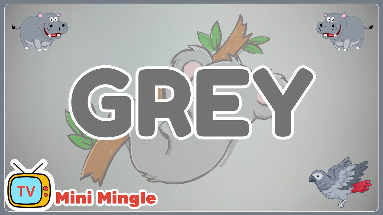 Color Grey | Learn the Color Grey with Examples for Kids - YouTube