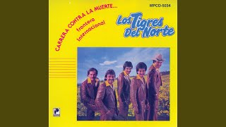 Video thumbnail of "Los Tigres Del Norte - Bajo El Cielo De Morelia"