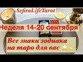 Таро-прогноз с 14 по 20 сентября для всех ЗНАКОВ ЗОДИАКА|с таймкодом🌝#sefiralifetarot#прогноз#таро