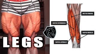 7 تمارين ضرورية لعضلات أرجل قوية وضخمة | The muscles of the legs are strong and huge