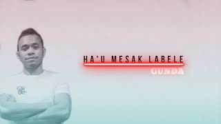 Gunda - Hau Mesak La bele ( lirik \u0026 terjemahan Indo )