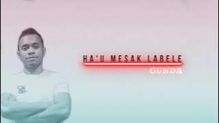 Gunda - Hau Mesak La bele ( lirik & terjemahan Indo )