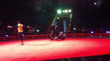 0978004692 ,biểu diễn xiếc ảo thuật,biểu diễn xiếc thú tại hà nội,tổ chức sinh nhâtj