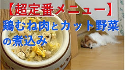 考える犬ごはん Youtube