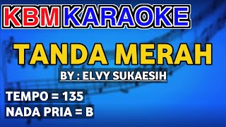 KARAOKE TANDA MERAH - ELVY SUKAESIH ( NADA PRIA )