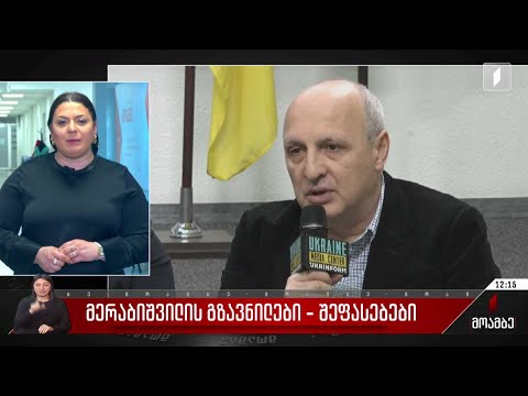 მერაბიშვილის გზავნილები - შეფასებები