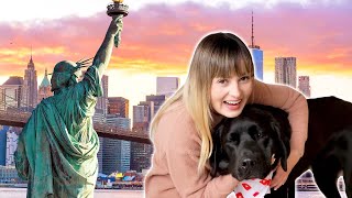 Taking My New Guide Dog to NYC for the First Time! (Everything went wrong…)