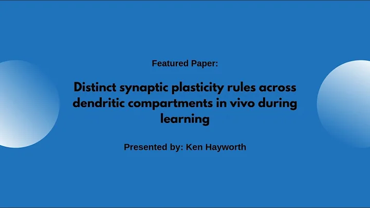 MDJC15 Distinct synaptic plasticity rules operate across dendritic compartments (Wright et al, 2025)