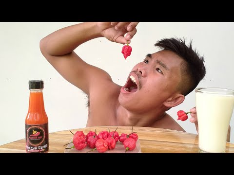 Mukbang 14 Carolina Reapers in 1 Minute (World Hottest Chili) Breaking the record Boy Tapang !?🌶️🔥🥵