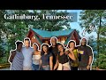 We Took a Road Trip To Gatlinburg and Pigeon Forge, Tennessee... It Was AWESOME!!!