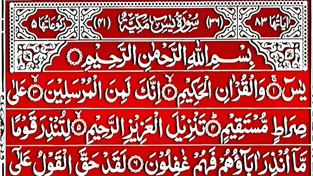 Surah Yasin Surah Rahman | Beautiful Recitation Surah Yaseen Surah Rahman Full | Quran Tilawat | 197