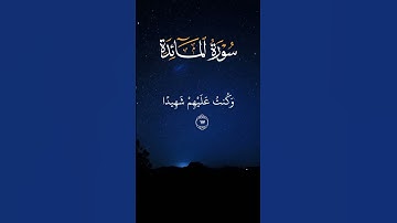 ياسر الدوسري سورة المائدة #راحة_نفسية #قران_كريم #آيات #ياسر_الدوسري #صوت_جميل #المائدة