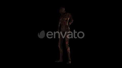 Zombie Idle | Motion Graphics - Envato elements