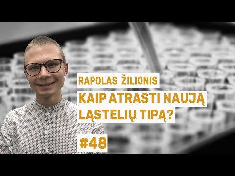 Video: Ką reiškia priesagos ląstelė?