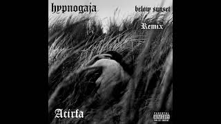 Hypnogaja - They Don´t Care (Acirfa Remix)