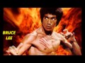 A História de Bruce Lee.