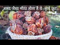 ||Harvesting Persimmon Fruits in Kinnaur HP||