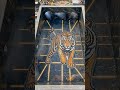 Beautiful Tiger pool ❣️🐅............. #ai #trending #fyp #relatable #creative