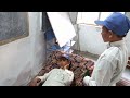 الحوار بين المريض والطبيب اللغة العربية